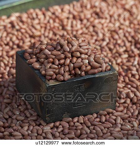 Peanuts, Busan, Yeongnam, South Korea View Large Photo Image Stock Photo - Peanuts, Busan, Yeongnam, South Korea. Fotosearch