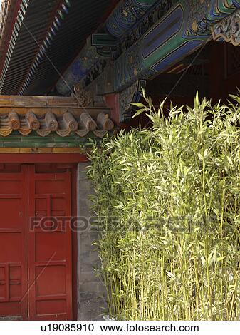 Plants in front of a building, Imperial Garden, Forbidden City, Beijing, China View Large Photo Image Stock Image - Plants in front of a building, Imperial Garden, Forbidden City, Beijing, China. Fotosearch