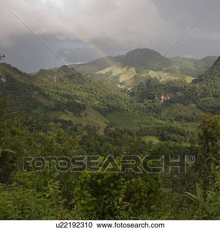 Rainbow over a field, Thailand View Large Photo Image Stock Image - Rainbow over a field, Thailand. Fotosearch