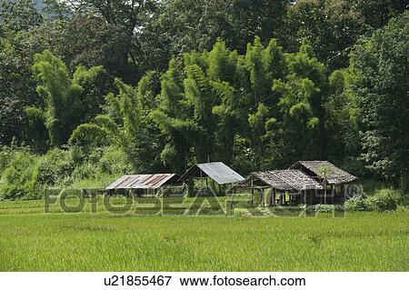 Stock Photo - Shelters in a field, Thailand. Fotosearch