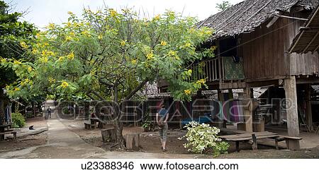 Stilt huts at Huay Pu Keng, Mae Hong Son Province, Thailand View Large Photo Image Stock Photograph - Stilt huts at Huay Pu Keng, Mae Hong Son Province, Thailand. Fotosearch