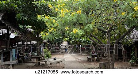 Stilt huts at Huay Pu Keng, Mae Hong Son Province, Thailand View Large Photo Image Stock Photography - Stilt huts at Huay Pu Keng, Mae Hong Son Province, Thailand. Fotosearch