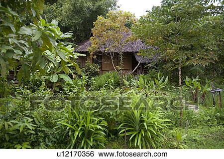 Thatched roofed hut in a village, Thailand View Large Photo Image Stock Photograph - Thatched roofed hut in a village, Thailand. Fotosearch