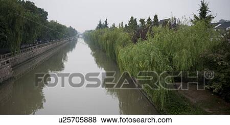 Trees along a creek, Suzhou, Jiangsu Province, China View Large Photo Image Stock Photo - Trees along a creek, Suzhou, Jiangsu Province, China. Fotosearch