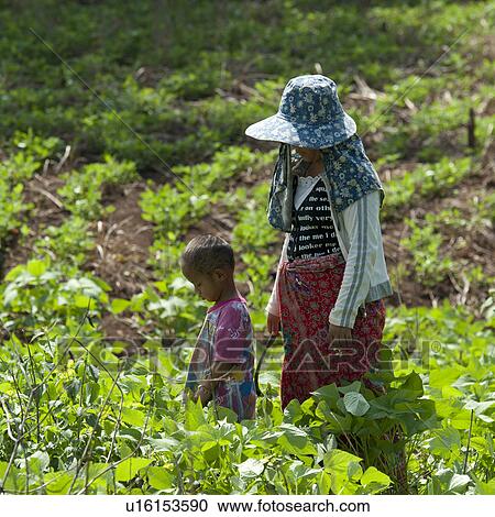 Stock Image - Woman farming in a field with her daughter, Wat Phrathat Doi Suthep, Chiang Dao, Chiang Mai Province, Thailand. Fotosearch