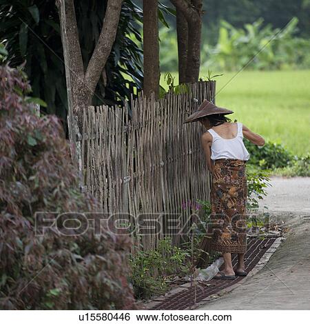 Stock Photograph - Woman watering plant, Thailand. Fotosearch