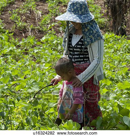 Woman with her son in a field, Chiang Dao, Chiang Mai Province, Thailand View Large Photo Image Stock Image - Woman with her son in a field, Chiang Dao, Chiang Mai Province, Thailand. Fotosearch