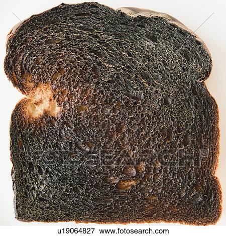 Stock Photo - Close up of burnt toast. Fotosearch