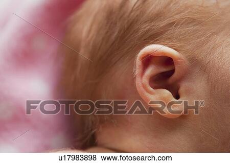 Stock Photo - Close up of newborn girl's (0-1months) ear. Fotosearch