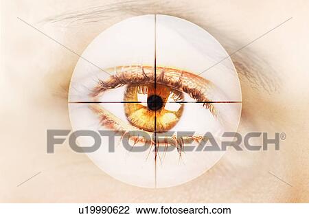 Close up of women's eye in digital viewfinder View Large Photo Image Stock Image - Close up of women's eye in digital viewfinder. Fotosearch