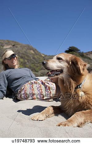 Stock Image - Golden retriever with owner on beach. Fotosearch