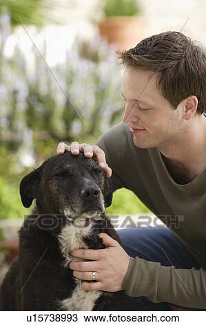 Man stroking dog View Large Photo Image Stock Image - Man stroking dog. Fotosearch