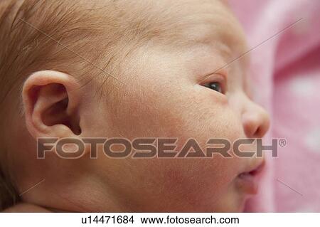 Portrait of newborn girl (0-1months) View Large Photo Image Picture - Portrait of newborn girl (0-1months) . Fotosearch