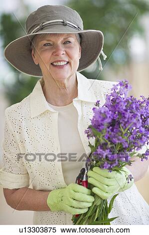 Stock Photography - Portrait of smiling senior woman wearing gardening gloves, holding bunch of purple flowers. Fotosearch