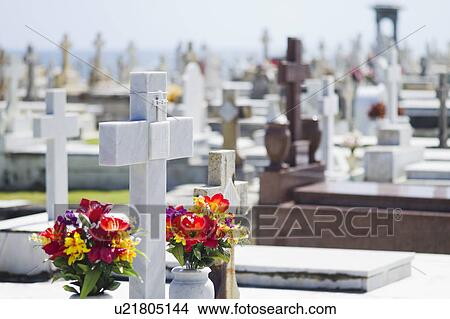 Puerto Rico, Old San Juan, Garves at Santa Maria Magdalena Cemetery View Large Photo Image Picture - Puerto Rico, Old San Juan, Garves at Santa Maria Magdalena Cemetery. Fotosearch