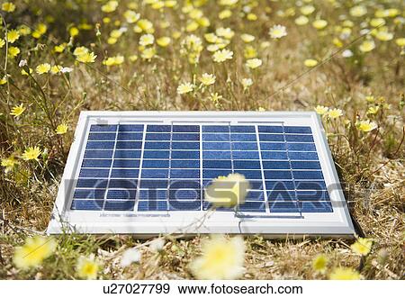 Solar panel lying on meadow with flowers View Large Photo Image Stock Photo - Solar panel lying on meadow with flowers. Fotosearch