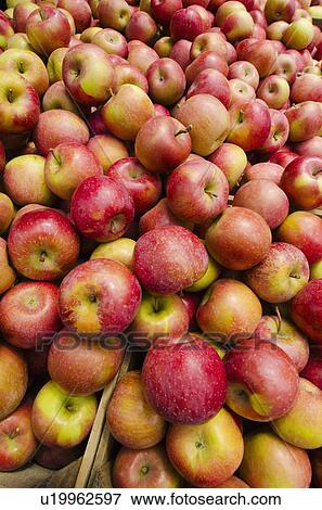 Stock Photo - Stack of apples on market stall. Fotosearch