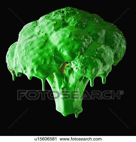Stock Image - Studio shot of broccoli covered with green paint. Fotosearch