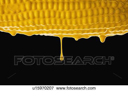 Stock Photo - Studio shot of corn cob covered with yellow paint. Fotosearch