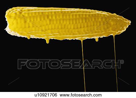 Stock Photograph - Studio shot of corn cob covered with yellow paint. Fotosearch