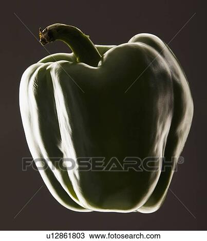 Stock Image - Studio shot of green bell pepper. Fotosearch