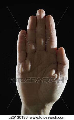 Studio shot of human palm View Large Photo Image Stock Photograph - Studio shot of human palm. Fotosearch