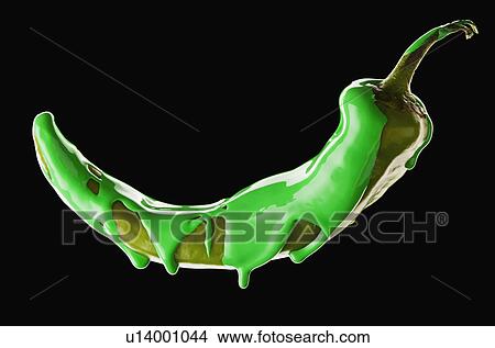 Picture - Studio shot of jalapeno pepper covered with green paint. Fotosearch