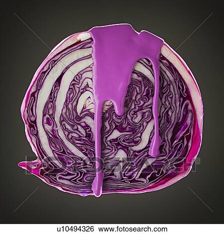 Stock Photograph - Studio shot of red cabbage covered with purple paint. Fotosearch