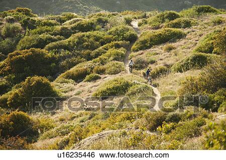 USA, California, Laguna Beach, Mountain bikers on trail View Large Photo Image Stock Photograph - USA, California, Laguna Beach, Mountain bikers on trail. Fotosearch