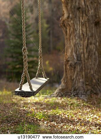 USA, Colorado, Empty swing hanging from tree View Large Photo Image Stock Photo - USA, Colorado, Empty swing hanging from tree. Fotosearch