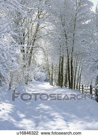 Stock Image - USA, Colorado, snowy road. Fotosearch