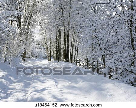 Stock Image - USA, Colorado, snowy road. Fotosearch