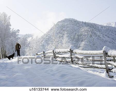 USA, Colorado, woman and dog in snowy ranch View Large Photo Image Picture - USA, Colorado, woman and dog in snowy ranch. Fotosearch