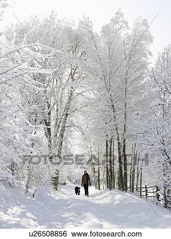 USA, Colorado, woman and dog on snowy road View Large Photo Image Stock Photograph - USA, Colorado, woman and dog on snowy road. Fotosearch