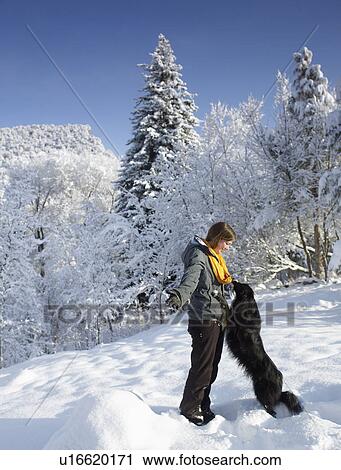 USA, Colorado, woman playing with dog in winter landscape View Large Photo Image Stock Image - USA, Colorado, woman playing with dog in winter landscape. Fotosearch