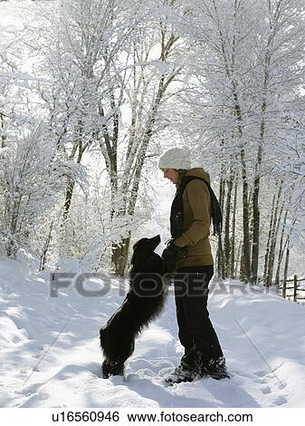 Stock Photograph - USA, Colorado, young woman playing with dog on snowy road. Fotosearch