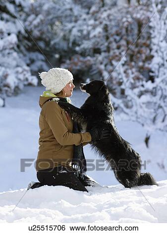 Stock Photograph - USA, Colorado, young woman playing with dog in snow. Fotosearch