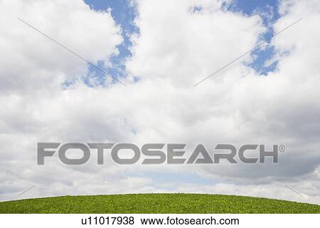Stock Photo - USA, New Jersey, Clouds and lawn. Fotosearch