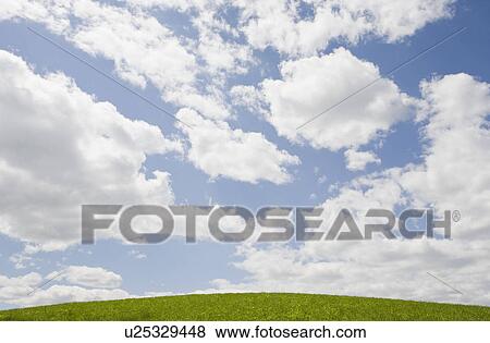 Stock Photo - USA, New Jersey, clouds over green field. Fotosearch