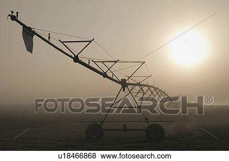 Stock Photo - USA, Oregon, Marion County, Irrigation and fog. Fotosearch