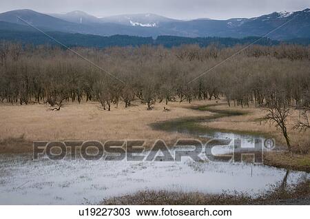 Stock Image - USA, Oregon, Multnomah County, Marsh land. Fotosearch