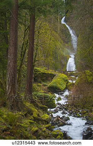 USA, Oregon, Multnomah County, Wahkenna Falls View Large Photo Image Stock Image - USA, Oregon, Multnomah County, Wahkenna Falls. Fotosearch
