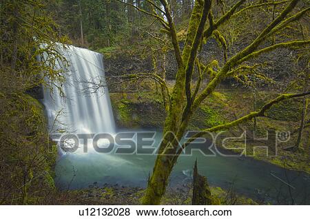 Stock Photo - USA, Oregon, Silver Falls State Park, Lower South Falls. Fotosearch