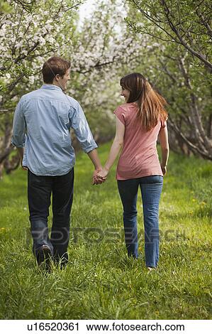 Stock Image - USA, Utah, Provo, Young couple walking through orchard. Fotosearch