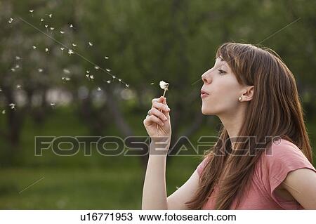 Young woman blowing Dandelion in orchard View Large Photo Image Stock Image - Young woman blowing Dandelion in orchard. Fotosearch