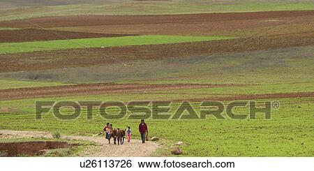 Stock Photograph - Agricultural field in a valley, Sacred Valley, Cusco Region, Peru. Fotosearch