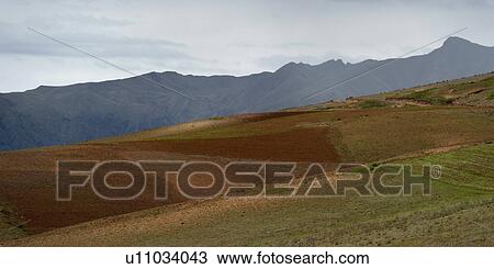 Stock Image - Agricultural field in Sacred Valley, Cusco Region, Peru. Fotosearch