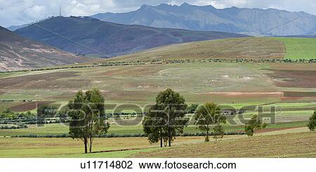 Stock Image - Agricultural field in Sacred Valley, Cusco Region, Peru. Fotosearch
