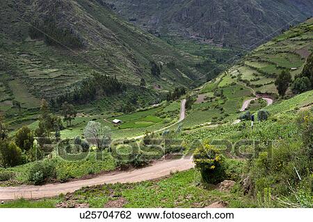Agricultural field in Sacred Valley, Cusco Region, Peru View Large Photo Image Stock Image - Agricultural field in Sacred Valley, Cusco Region, Peru. Fotosearch