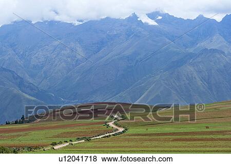 Stock Photo - Agricultural field in Sacred Valley, Cusco Region, Peru. Fotosearch